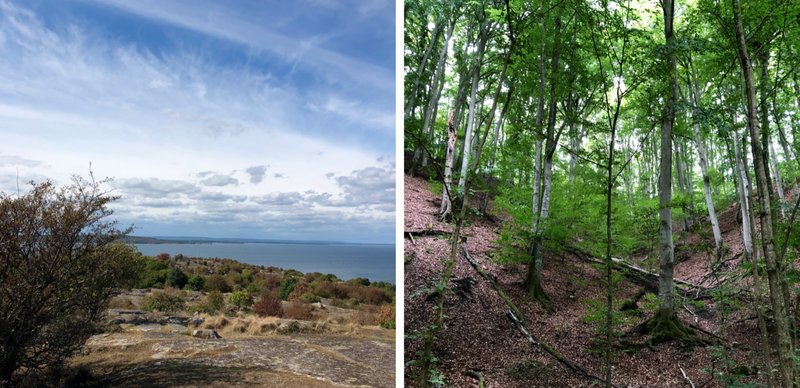 Forsakar vattenfall och Hanö. Forsakar vattenfall och Hanö.